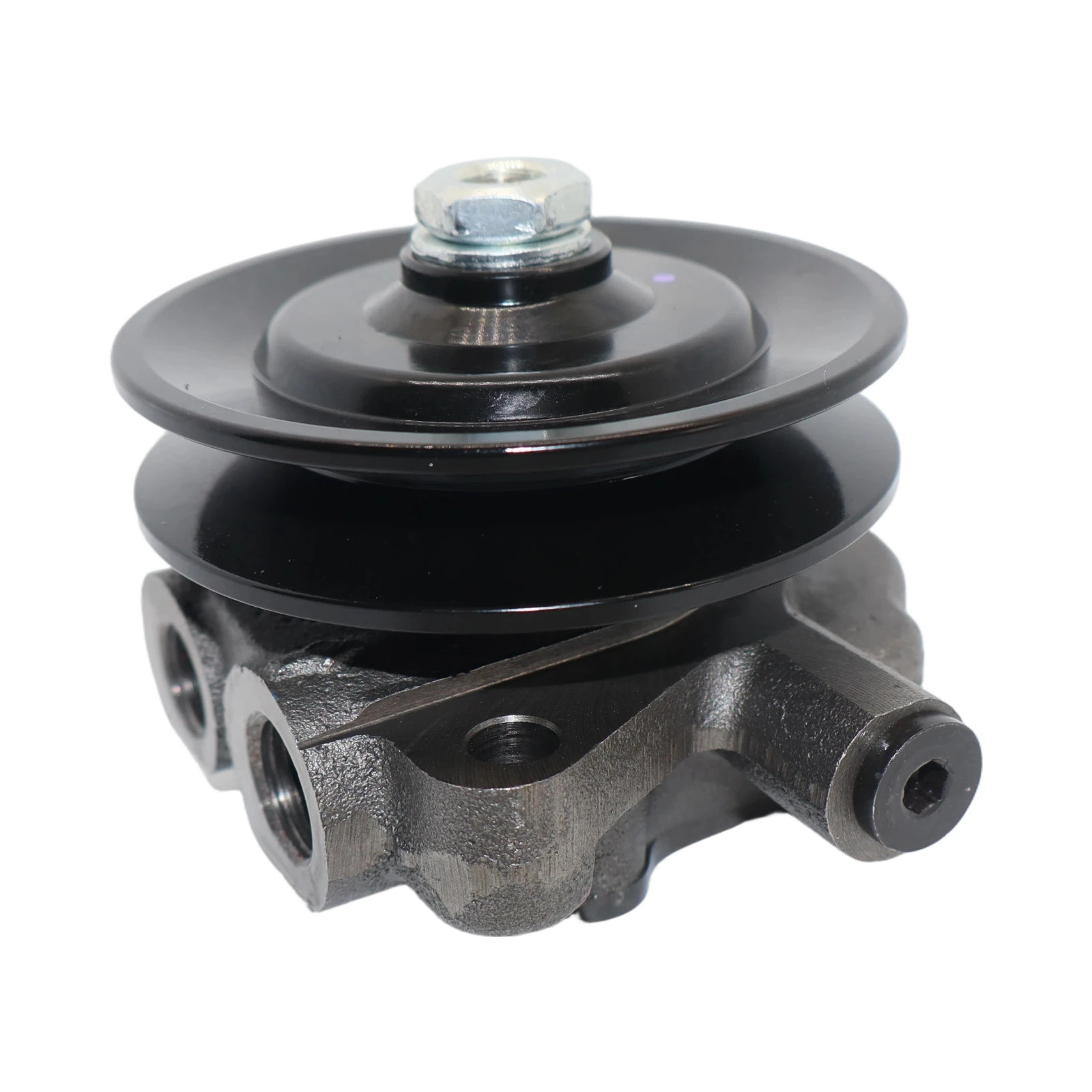 Fuel Pump 04290499 Fits for DEUTZ BFM2013 Engine