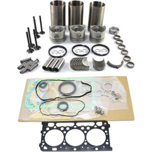 D902 Overhaul Rebuild Kit Compatible with Kubota D902 Engine